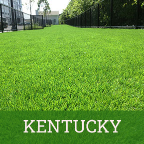 Artificial Grass- GardenMark LLC kentucky