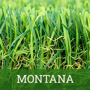 montana montana