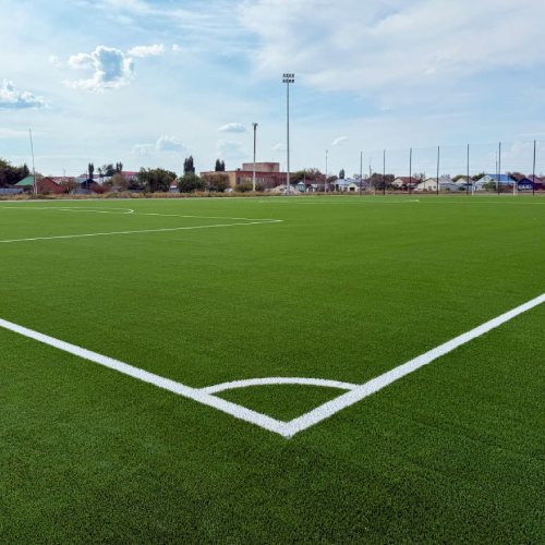 sports grass